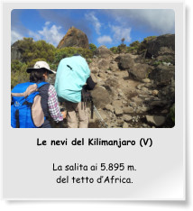 Le nevi del Kilimanjaro (V)  La salita ai 5.895 m. del tetto d’Africa.