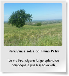 Peregrinus solus ad limina Petri  La via Francigena lungo splendide campagne e paesi medioevali.