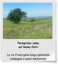 Peregrinus solus ad limina Petri  La via Francigena lungo splendide campagne e paesi medioevali.