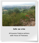 Sulle sue orme  Attraverso l’Umbria solitaria sulle tracce di Francesco.